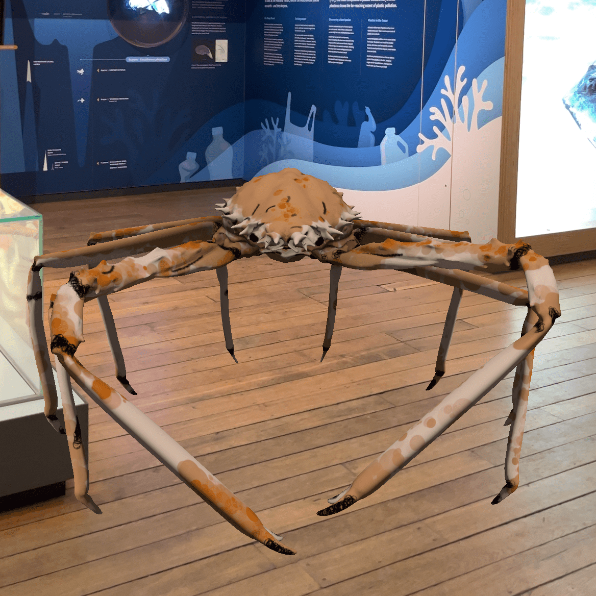 Depicts an Augmented Reality Spider Crab from the Mythquest app.