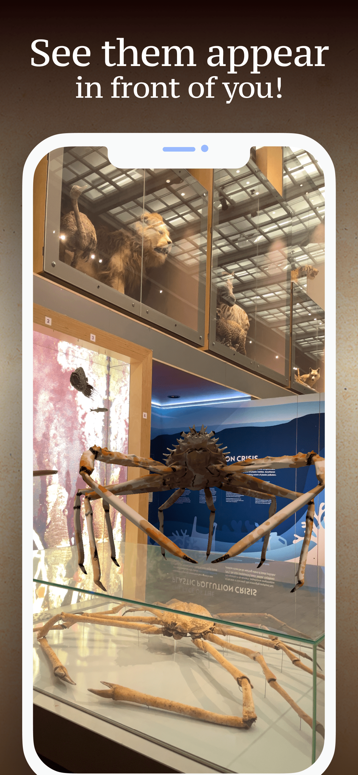 Augmented reality spider crab is creeping across the spider crab exhibit.