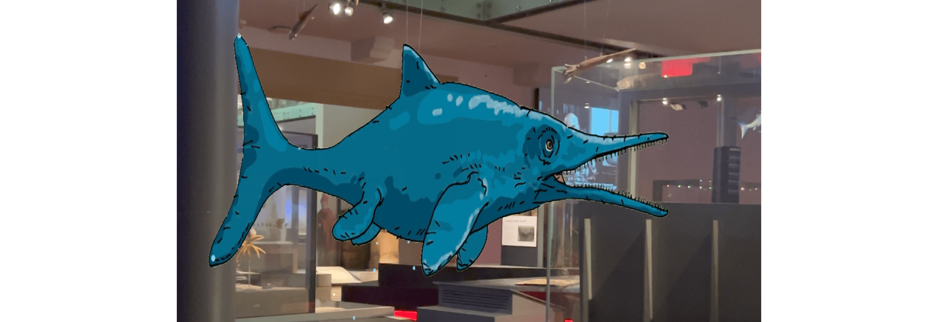 In a museum setting an Augmented Reality Ichthyosaur is depicted swimming over an ancient fossil.