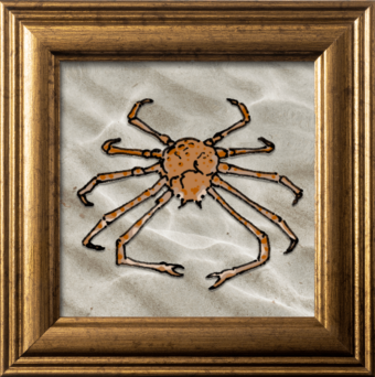 Illustration of a spider crab sitting on sand in an old gold picture frame."